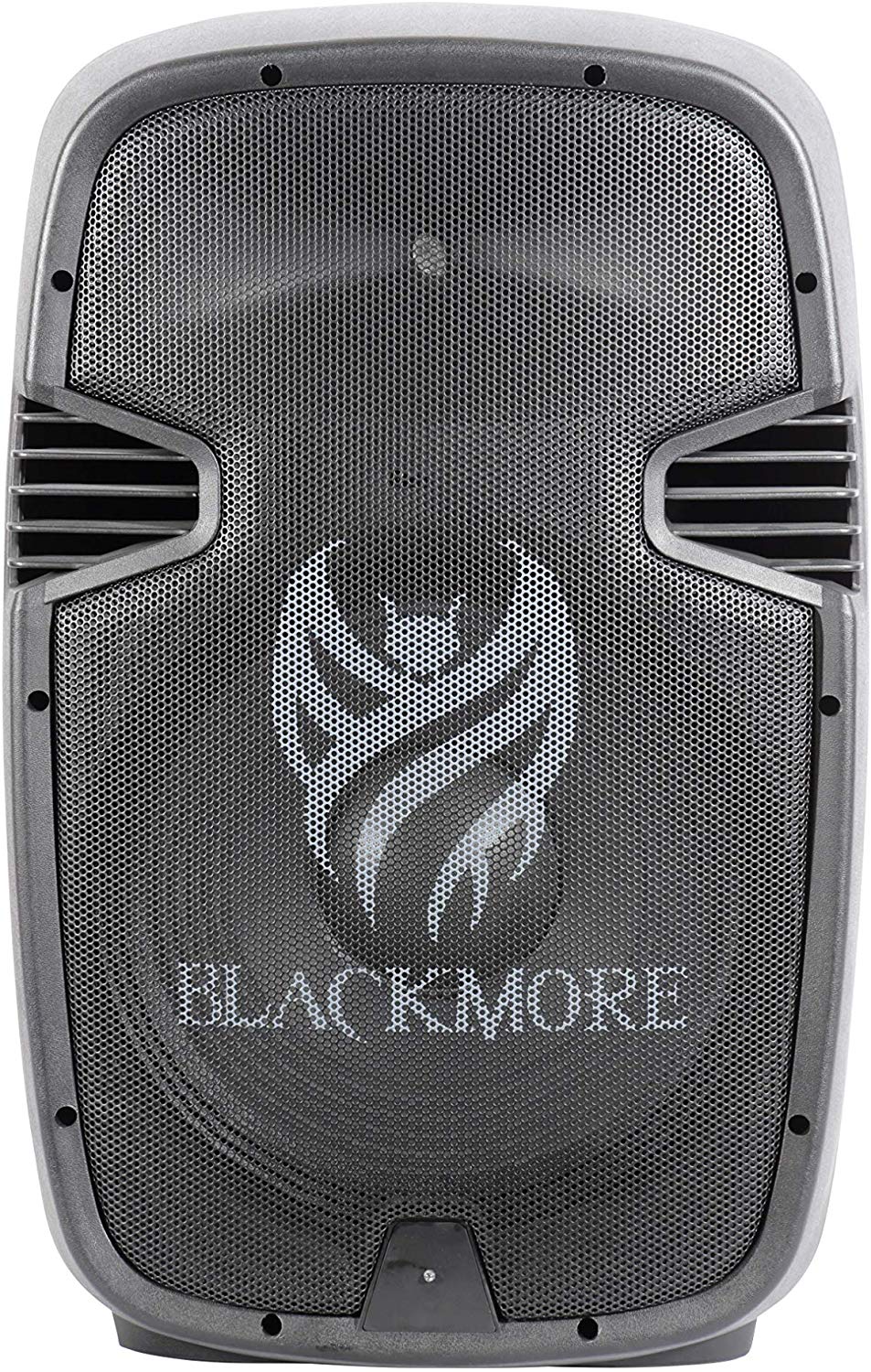 Blackmore Amplified Professional PA System W/Dual 15-Inch Monitors